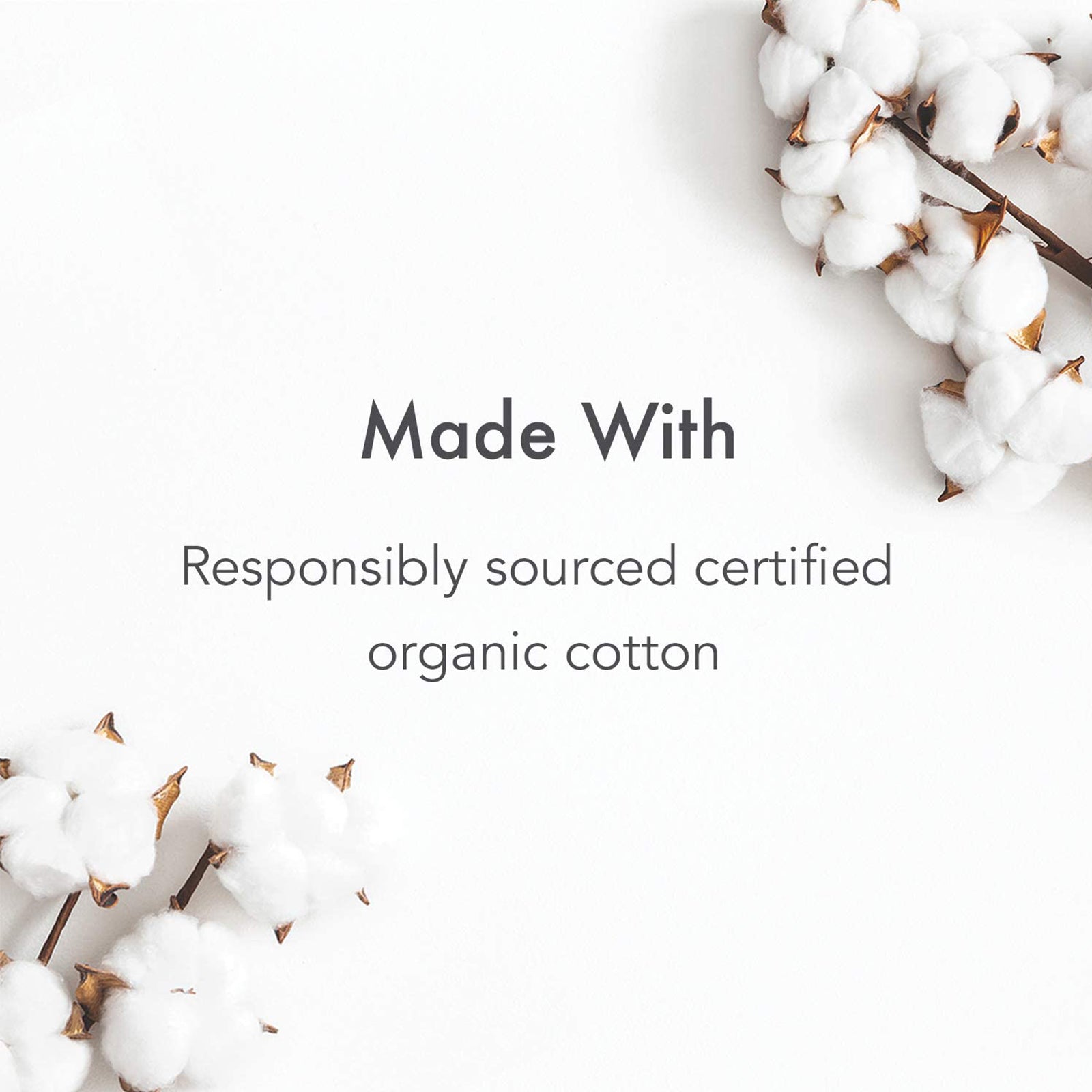 Buy Rael Super Tampons ShopCorlison Singapore